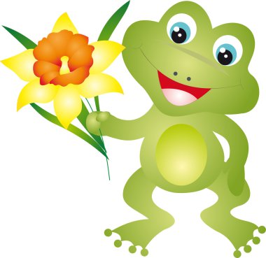 Frog vector clipart