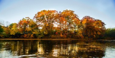 A beautiful autumn landscape with water and colorful trees. clipart