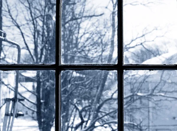 Eine Winterszene Von Bäumen Durch Ein Schmutziges Fenster — Stockfoto