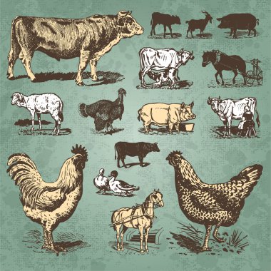 Farm animals vintage set (vector) clipart