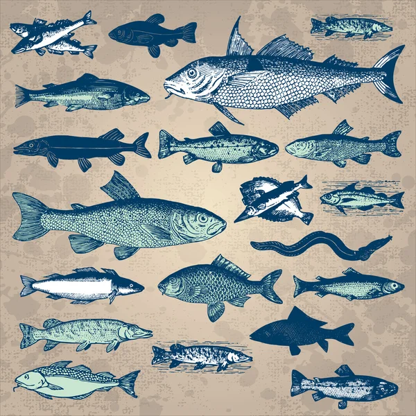 Conjunto de peixes vintage (vetor ) —  Vetores de Stock