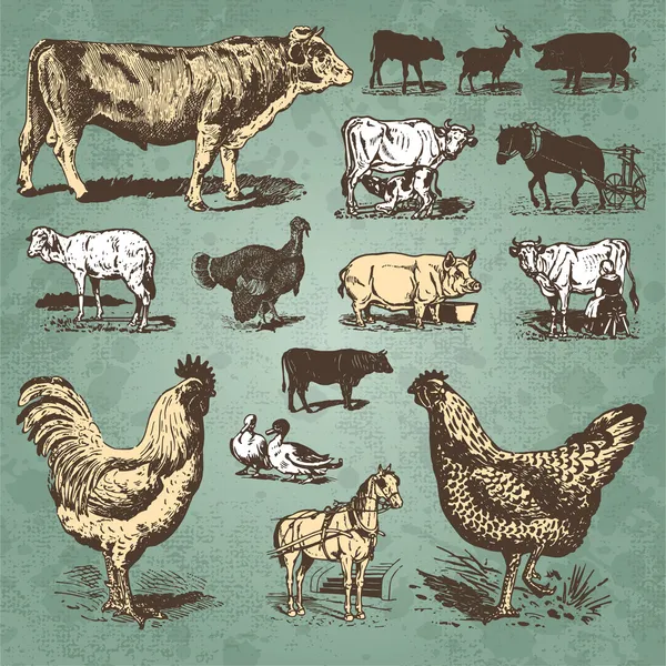 Сельскохозяйственные животные винтажный набор (вектор ) — стоковый вектор