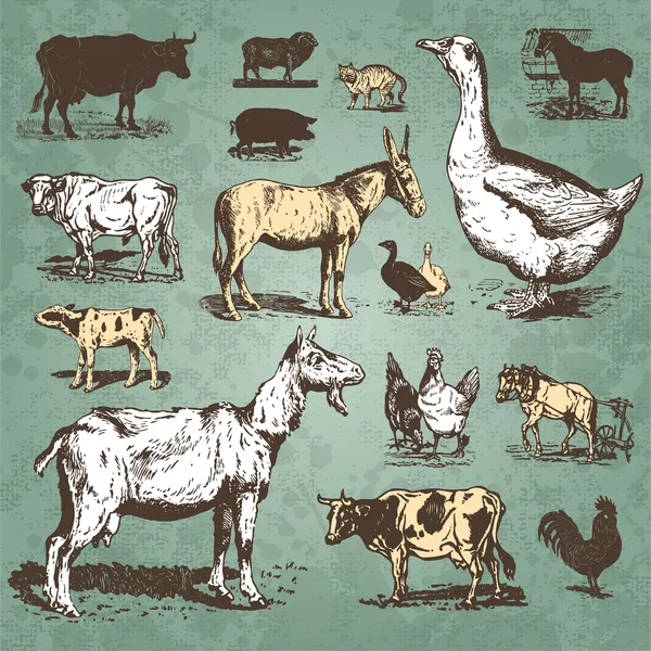 Farm animals vintage set (vector) — Stock Vector