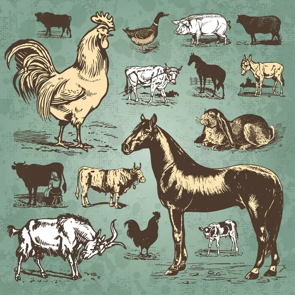 Fazenda animais vintage set (vetor ) — Vetor de Stock