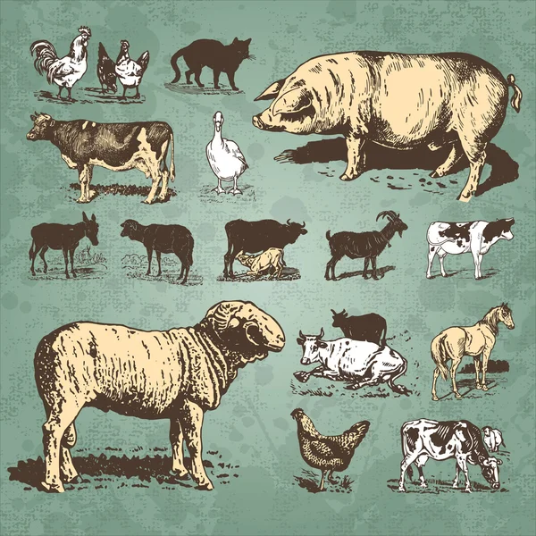 Сельскохозяйственные животные винтажный набор (вектор ) — стоковый вектор
