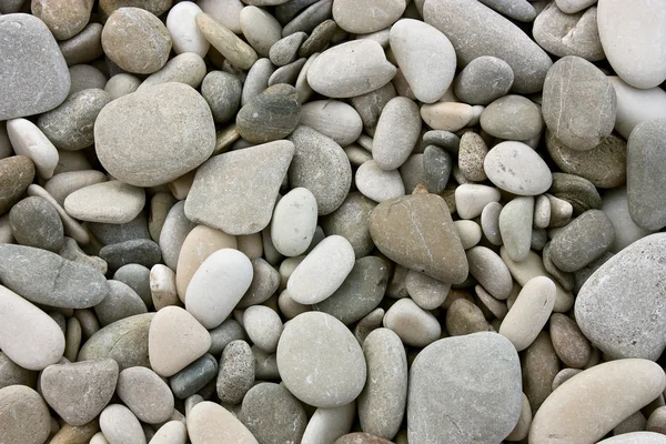 ビーチでの小石 — ストック写真