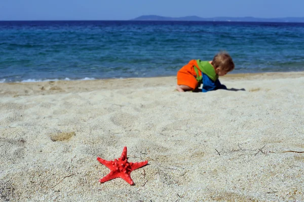 Baby girl playing with red sea star on the beach — Stock Photo, Image