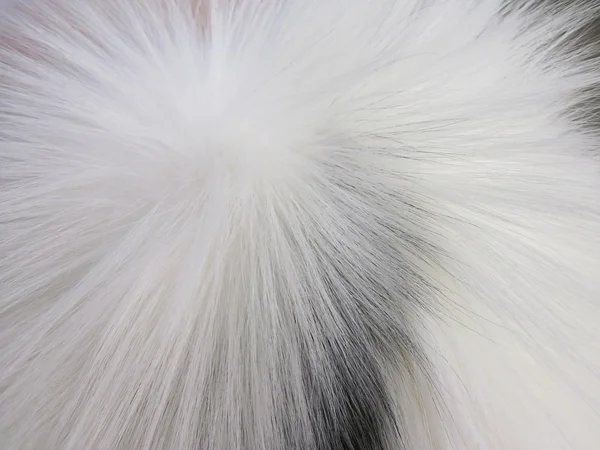 Vita räv päls — Stockfoto