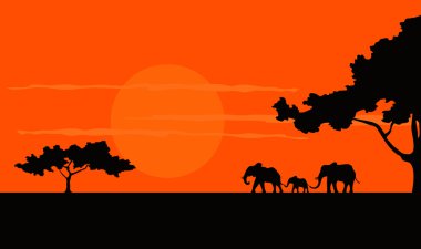 African safari sunset clipart