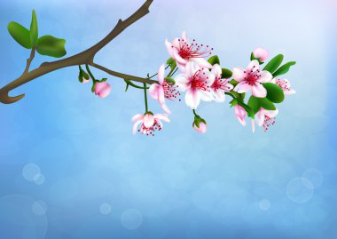 Spring blossoms clipart