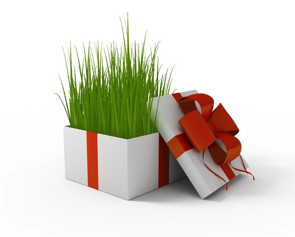 Gras im Geschenkkarton — Stockfoto