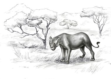 Lonely lioness in the savannah clipart