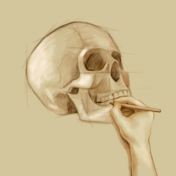 Hand ritning skiss skalle — Stockfoto