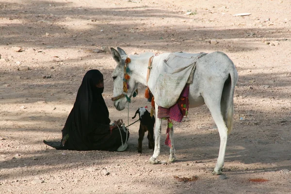 Бедуинская женщина — стоковое фото