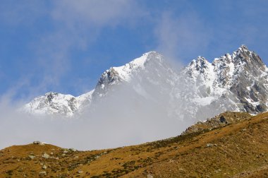 görkemli karlı dağ ve Kızıl geyikler sürüsü