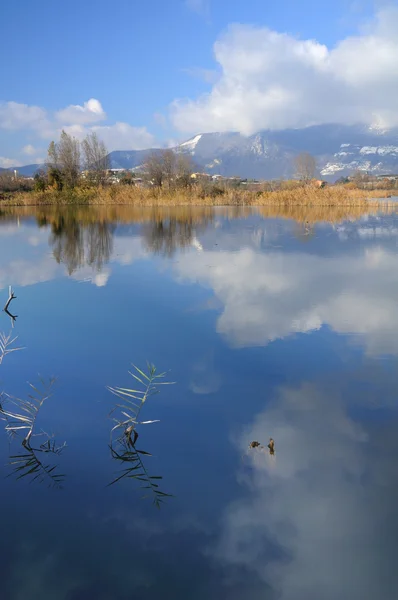 stock image Still waters in Torbiere del Sebino peat bog, near Brescia, high water