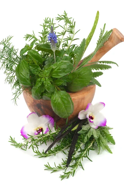 Hierbas Para Terapia Alternativa Aromaterapia —  Fotos de Stock