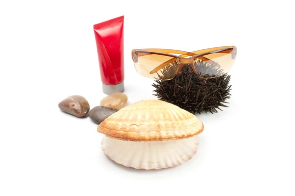 Sun glass on white background with seashell,stones, sea-urchin and sun blo — Stock Photo, Image