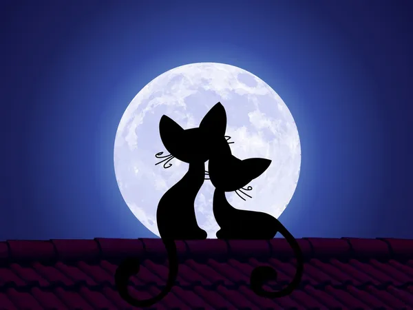 猫が屋根の上に座っていると月を見詰める. — ストック写真