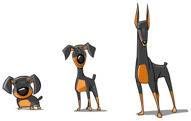 Three Doberman Pinschers. clipart