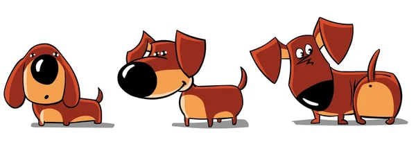 Three funny dachshunds — Stock Photo, Image