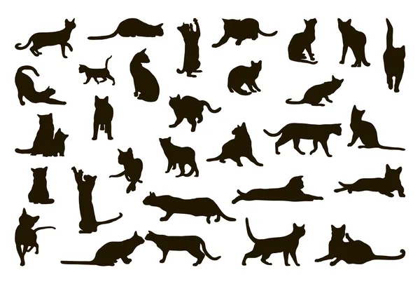 Silhoettes de gatos Vetores De Bancos De Imagens