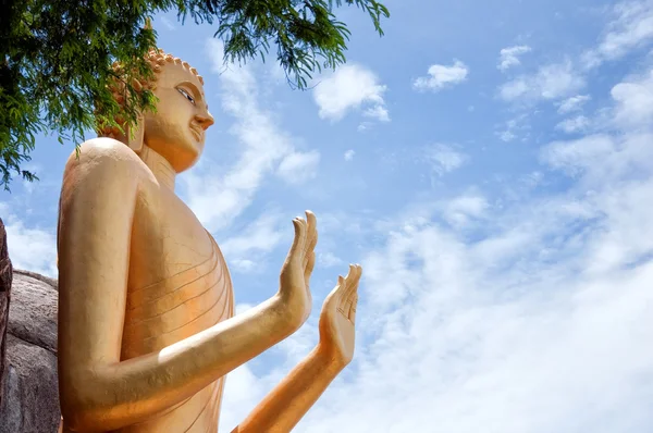 Стоящий Будда — стоковое фото