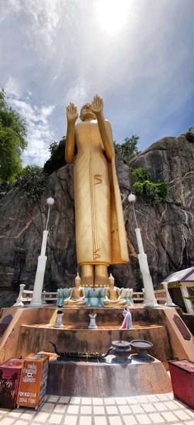 Panorama di Buddha in piedi — Foto Stock