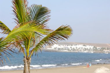 palm Beach