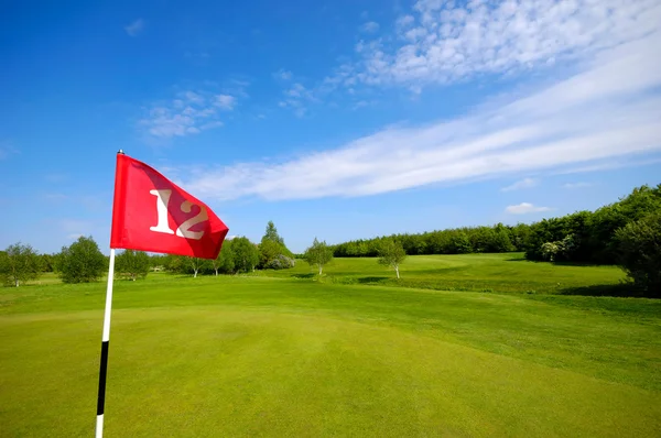 Флаг на поле для гольфа — стоковое фото
