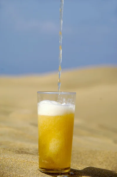 Serveren bier in woestijn — Stockfoto