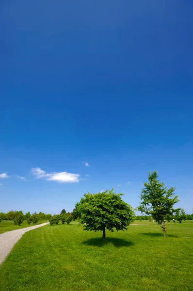 Park og blå himmel – stockfoto