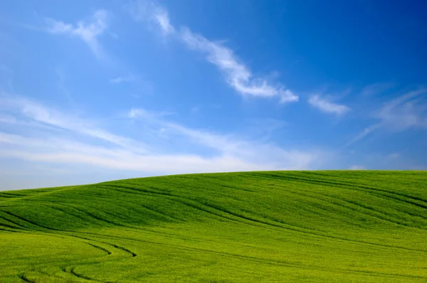 Зеленый холм и голубое небо — стоковое фото