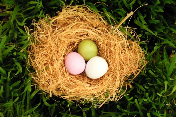 Easter egg and nest — Stock Photo, Image