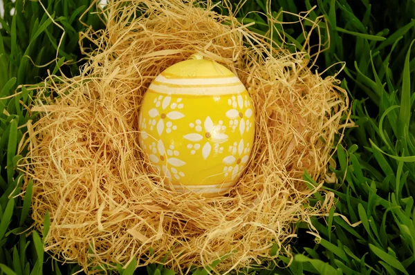 Painted easter egg in nest — Stock Photo, Image