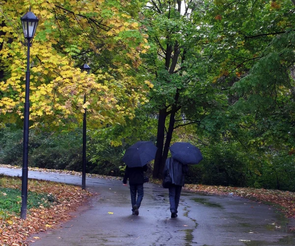 Spaceru w deszczu — Zdjęcie stockowe