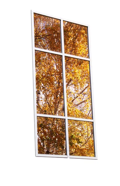 Осеннее окно — стоковое фото