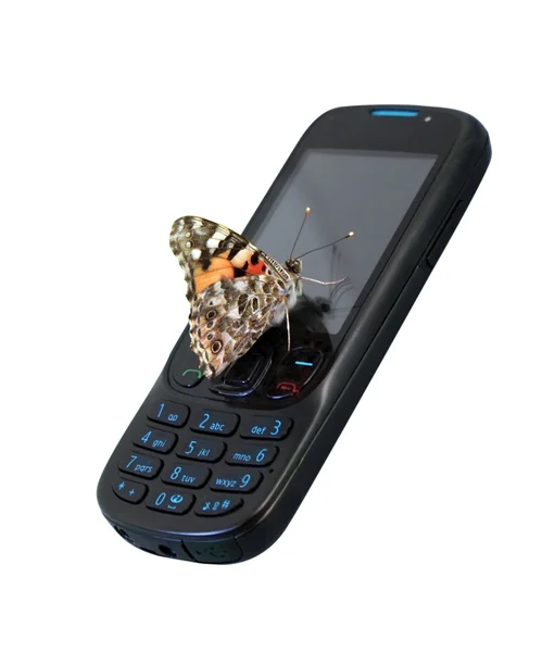 Cep telefonunuzda kelebek — Stok fotoğraf