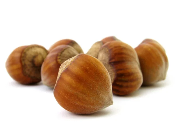 Kacang Hazel — Stok Foto