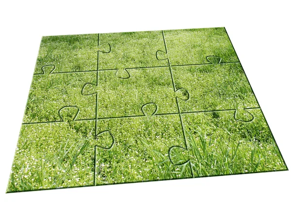 Jigsaw puzzle Nature — Stock Photo, Image