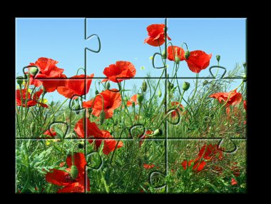 Jigsaw puzzle Poppies clipart