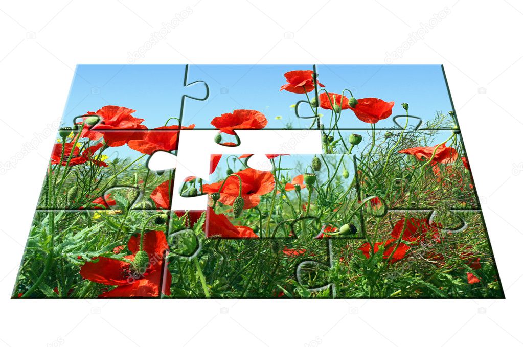 Jigsaw puzzle Poppies