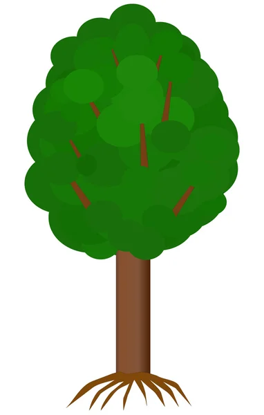 Vektor Illustration Gröna Träd Med Rot — Stock vektor