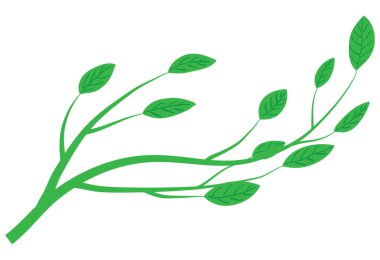 Green branch of tree clipart