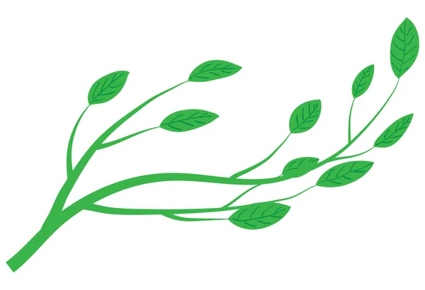 stock vector Green branch of tree