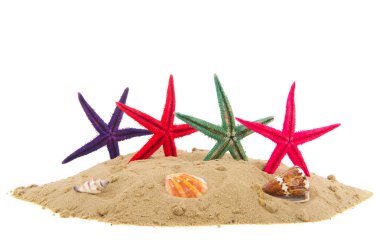 starfishes