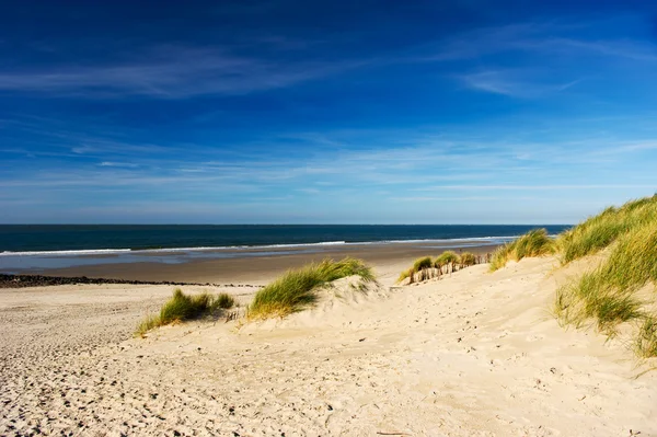 Plaża Ameland — Zdjęcie stockowe