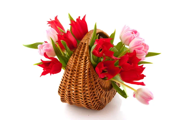 Červené a růžové tulipány — Stock fotografie