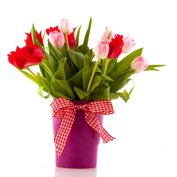 Tulipanes rojos y rosados —  Fotos de Stock