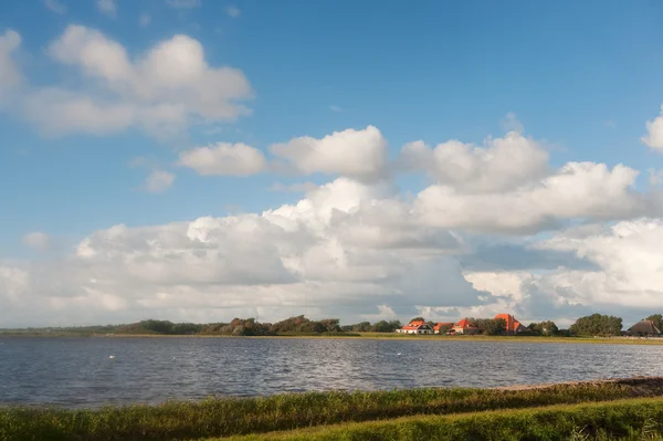 Голландский пейзаж с водой и фермой — стоковое фото